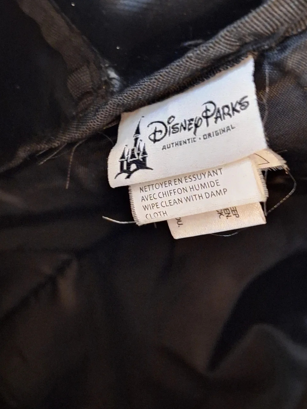 Disney authentic parks